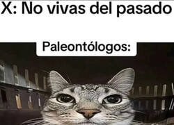 Enlace a No viven de otra cosa