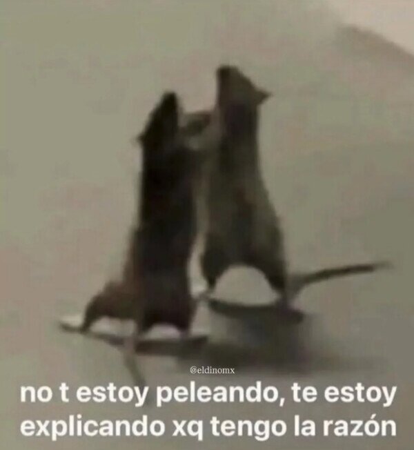 Meme_otros - Yo no peleo