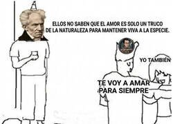 Enlace a Schopenhauer es un aguafiestas