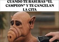 Enlace a Puesta a punto para nada