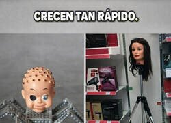 Enlace a Cómo pasa el tiempo...