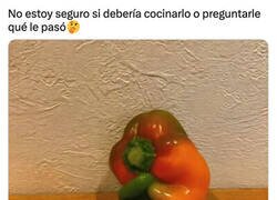 Enlace a Veganos, vosotros también causáis sufrimiento