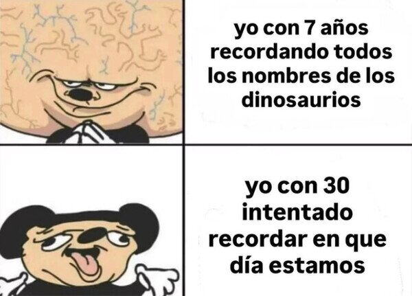 Meme_otros - La memoria va a menos