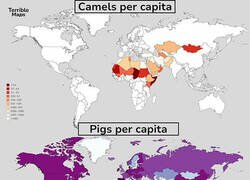 Enlace a El gráfico que demuestra que los cerdos y los camellos son incompatibles