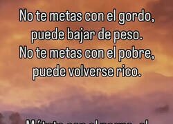 Enlace a No hombre no...