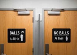 Enlace a Los nuevos dos géneros