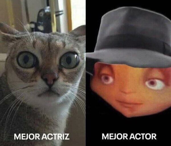 Otros - Ultimamente en todos los premios