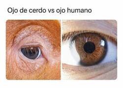 Enlace a ¿A qué ojo se acerca más?