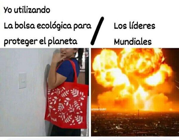 Meme_otros - De poco servirá tu bolsita