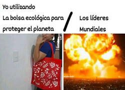 Enlace a De poco servirá tu bolsita