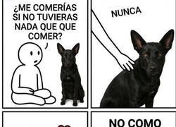 Enlace a El Firulais nunca me haría daño