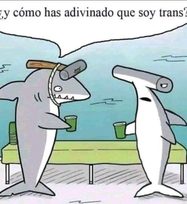 Meme_otros - Tiburón trans
