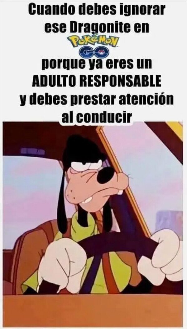Meme_otros - Hoy no, Dragonite