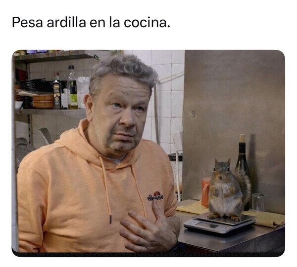 Otros - La tontería del día