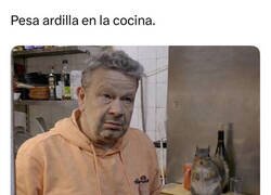 Enlace a La tontería del día