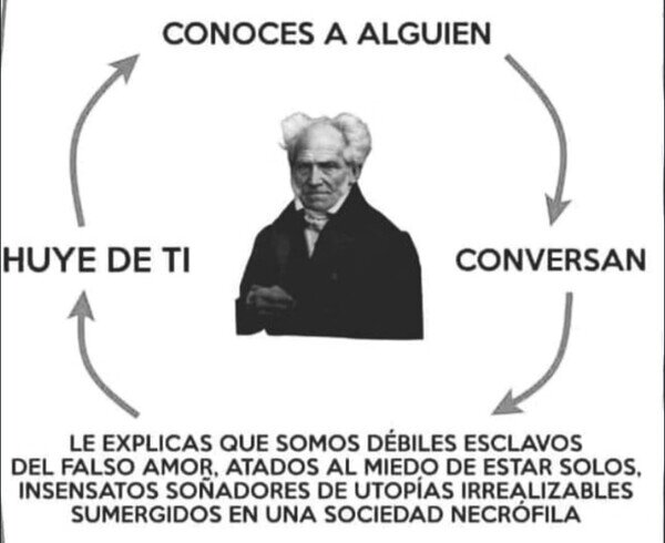 Schopenhauer,conocer,huir,hablar