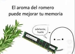 Enlace a Creo que no funciona así...