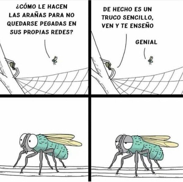 Meme_otros - Cayó en la trampa