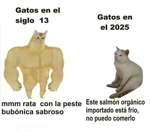 Meme_otros - Hemos críado a unos tiquismiquis