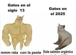 Enlace a Hemos críado a unos tiquismiquis