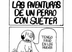 Enlace a Las aventuras de un perro con suéter