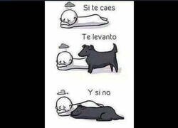 Enlace a Siempre va a estar ahí