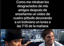 Enlace a Lo que descubrieron durante el finde