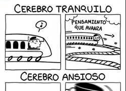 Enlace a Por eso es importante la estabilidad emocional