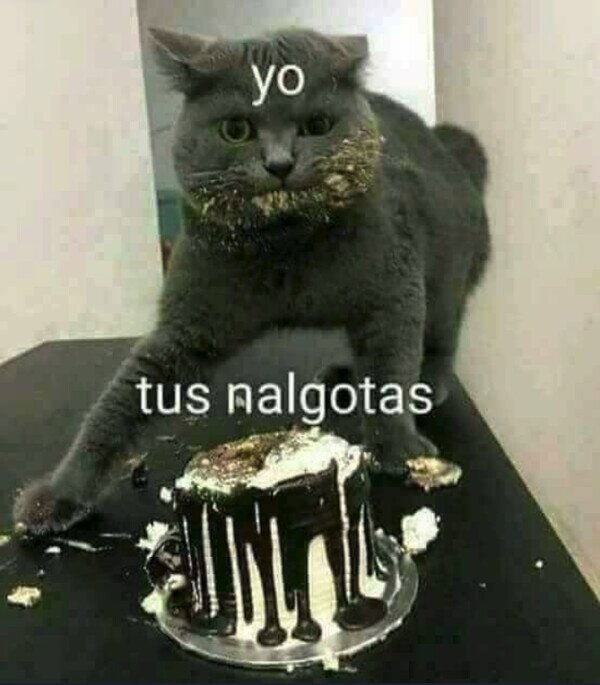 Meme_otros - Para enviar a esa persona especial