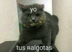 Enlace a Para enviar a esa persona especial