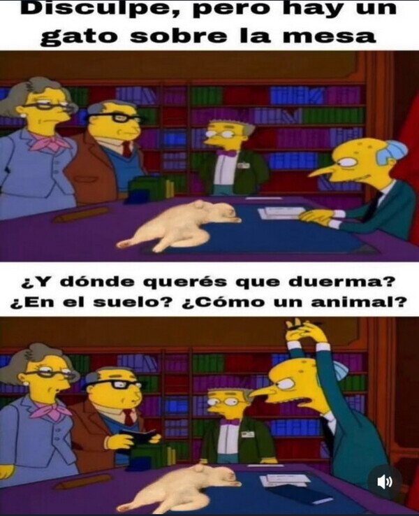 Meme_otros - Hay que adaptarse a su siesta