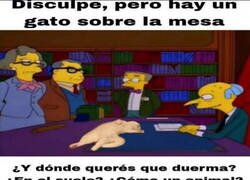 Enlace a Hay que adaptarse a su siesta