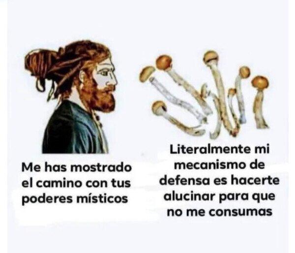 setas,alucin&oacute;genas,mecanismo,defensa,consumir