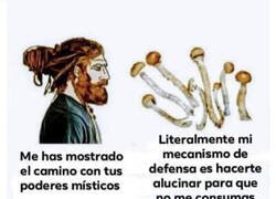 Enlace a Mecanismo de defensa