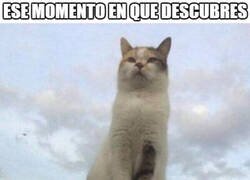 Enlace a Ya lo sabía, solo es la confirmación