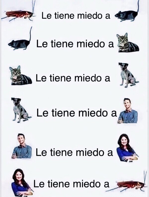 Meme_otros - El ciclo del miedo