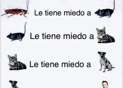 Enlace a El ciclo del miedo