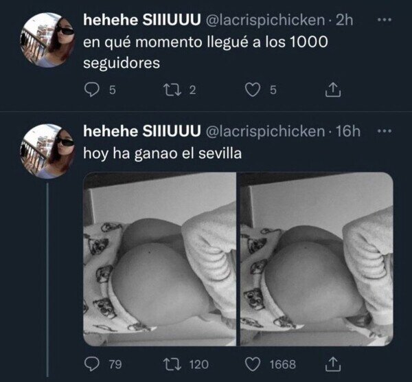 Meme_otros - ¿Cómo habrá conseguido tantos seguidores?