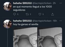 Enlace a ¿Cómo habrá conseguido tantos seguidores?