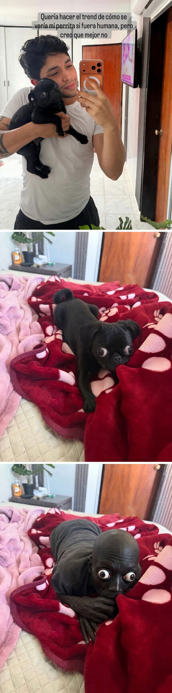 trend,perro,persona,wtf