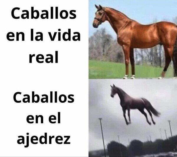 Otros - ¿Por qué pueden hacer eso?