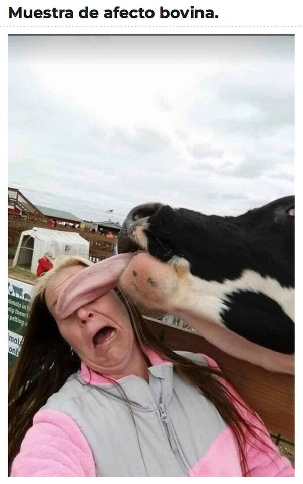 Meme_otros - Eso es que le gustas