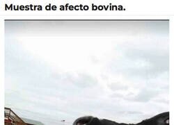 Enlace a Eso es que le gustas