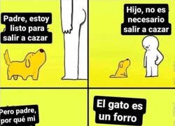 Enlace a No os comparéis