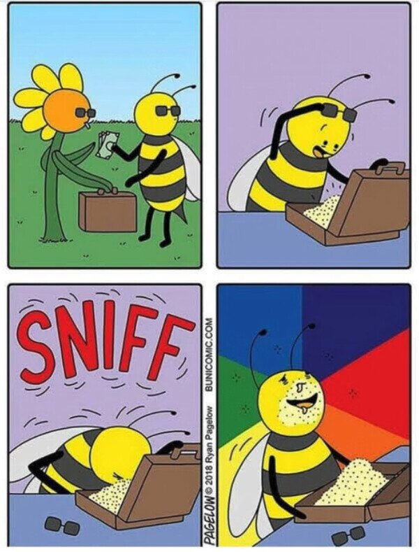 Meme_otros - Las abejas también tienen su cara oscura