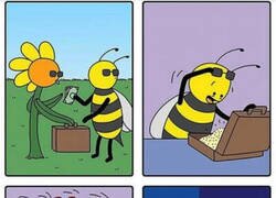 Enlace a Las abejas también tienen su cara oscura