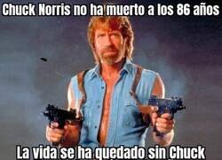 Enlace a DEP Chuck Norris