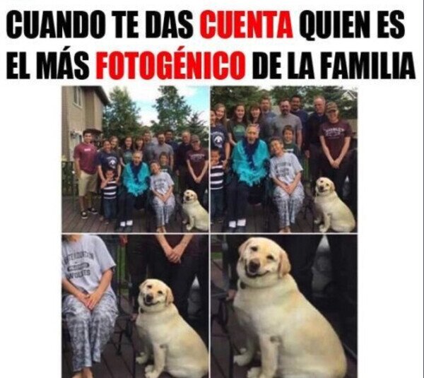 Otros - Sin lugar a dudas