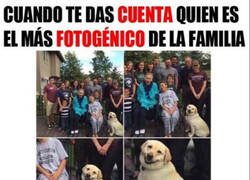 Enlace a Sin lugar a dudas