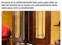 Enlace a A mi perra le gusta el fuet